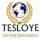 Tesloye Consultancy Services