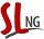 S L NG Group of Companies