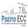Pazino Engineering & Construction Company Limited