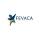 FEVACA Ltd