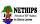 NETWORK OF HIV POSITIVES IN SIERRA LEONE (NETHIPS