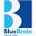 BlueBrain Services Ltd