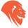 LIONSCOUT GROUP