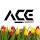 Ace Safety and Industrial Products Corporation