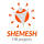 Shemesh - HR projects